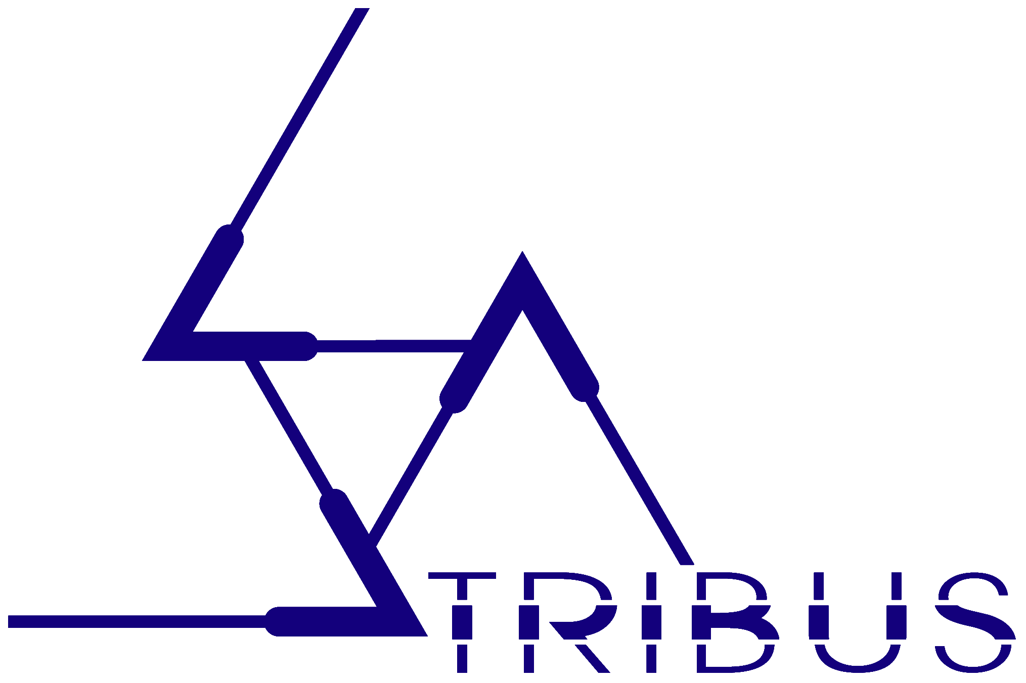 Tribus Limited